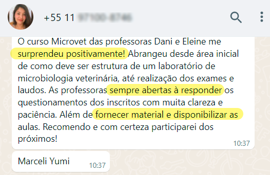 ed-marceli-yumi.png